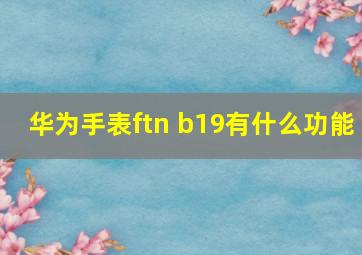 华为手表ftn b19有什么功能